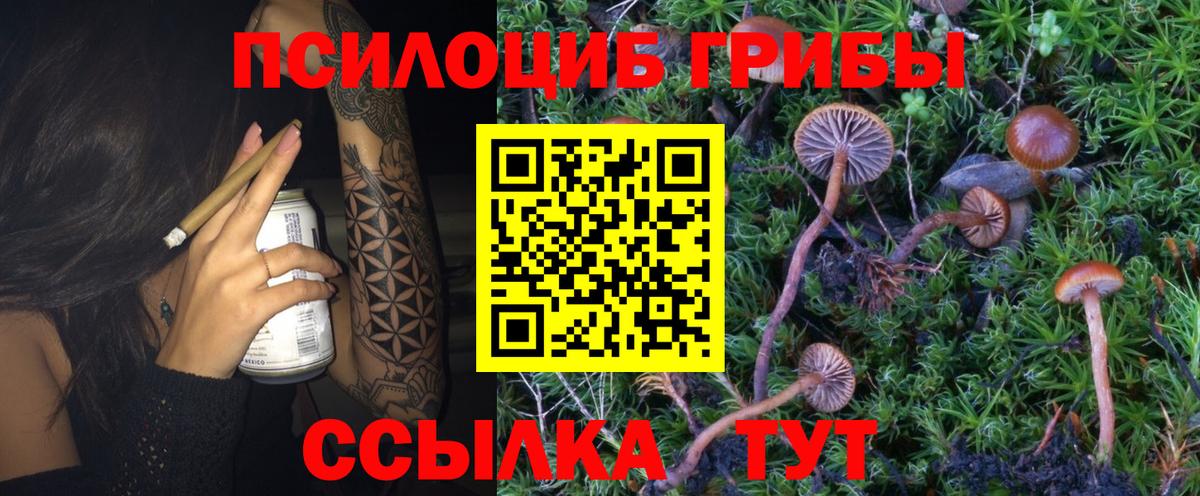 Псилоцибиновые грибы Magic Shrooms  Вход с VPN  Псилоцибиновые грибы ЛСД  Тара 